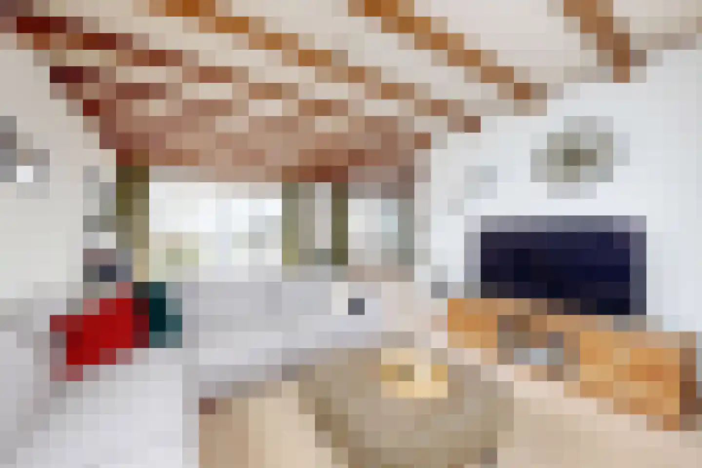 Middenstraat 14 a Oud Gastel thumbnail 12