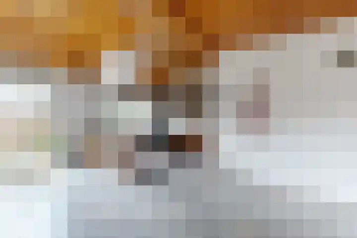 Middenstraat 14 a Oud Gastel thumbnail 30
