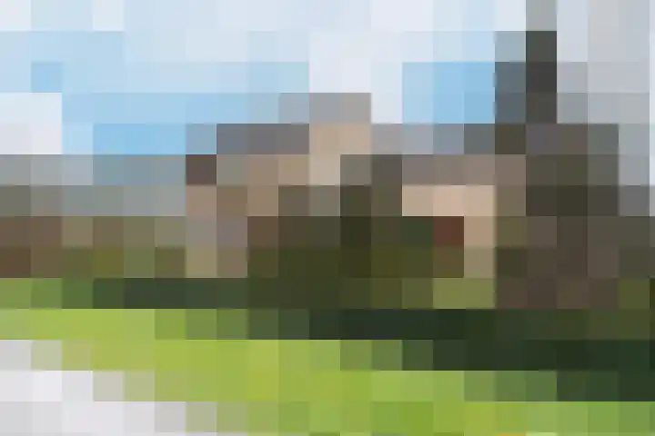 Middenstraat 14 a Oud Gastel thumbnail 85