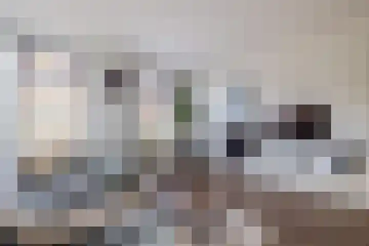 Middenstraat 2 Sappemeer thumbnail 12