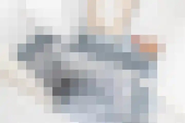 Middenstraat 2 Sappemeer thumbnail 21