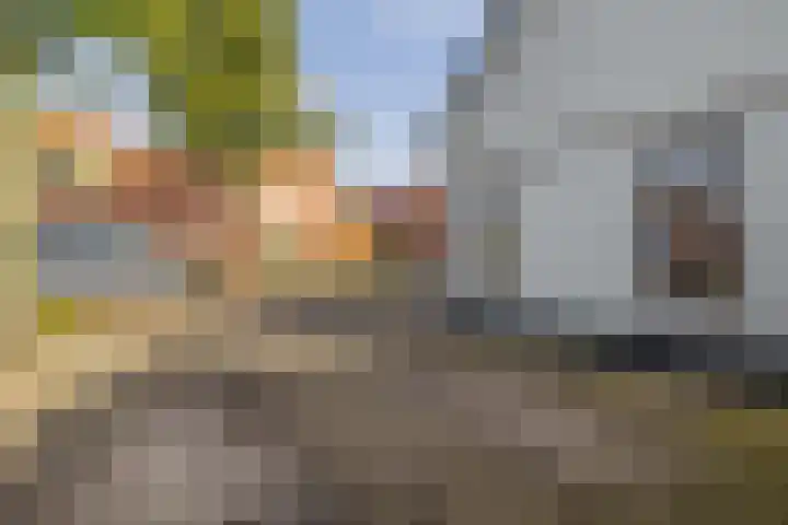 Middenstraat 2 Sappemeer thumbnail 29