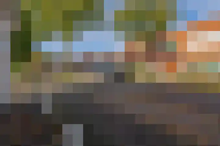 Middenstraat 2 Sappemeer thumbnail 31