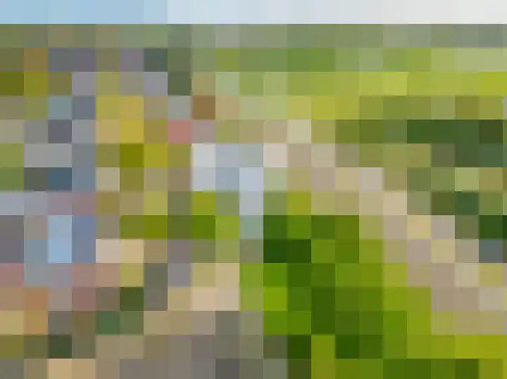 Middenstraat 2 Sappemeer thumbnail 35