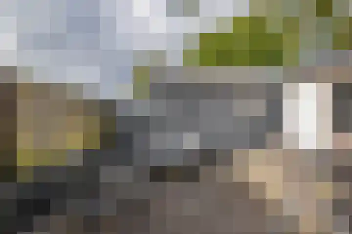 Middenstraat 2 Sappemeer thumbnail 5