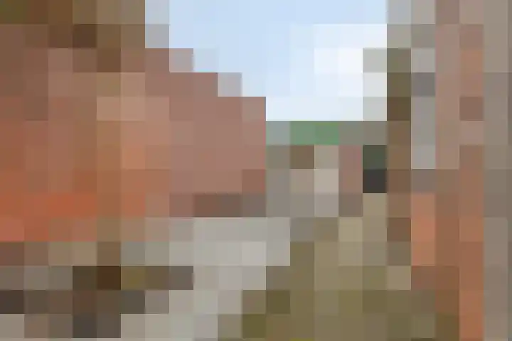 Middenstraat 22 Sluiskil thumbnail 17