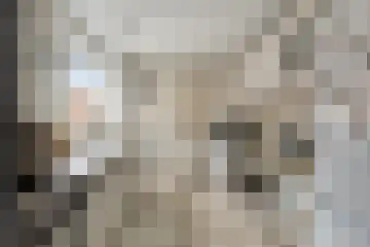 Middenstraat 22 Sluiskil thumbnail 7