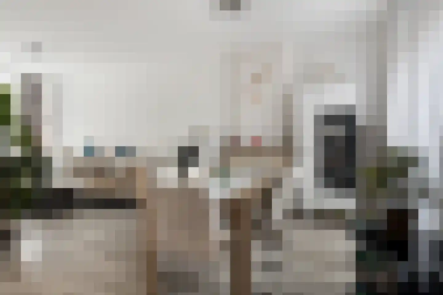 Middenstraat 22 Sluiskil thumbnail 7