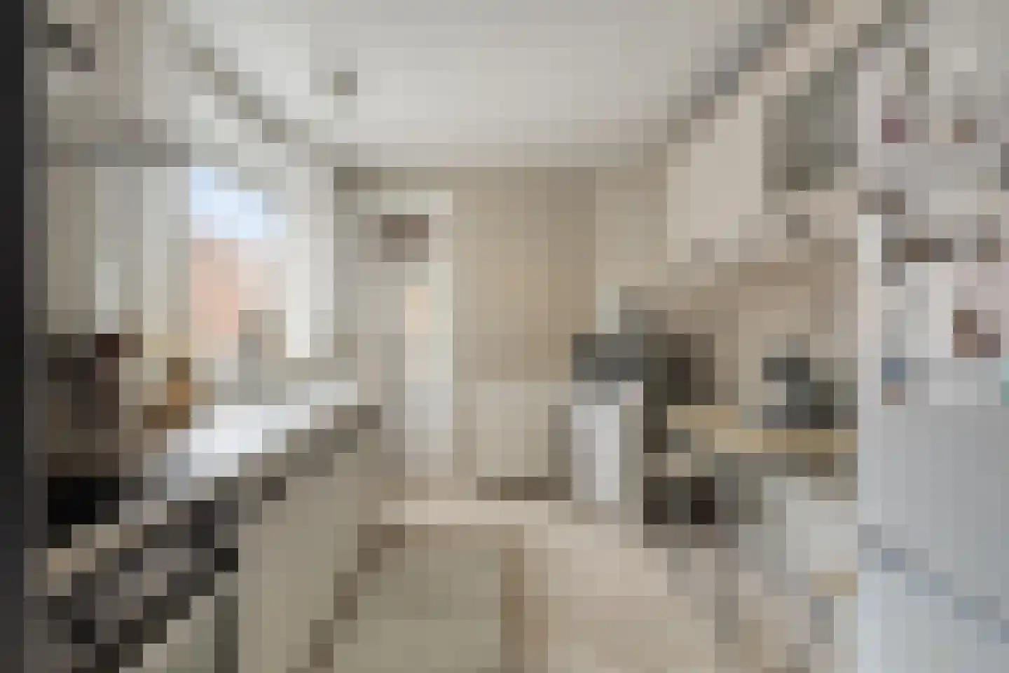Middenstraat 22 Sluiskil thumbnail 8