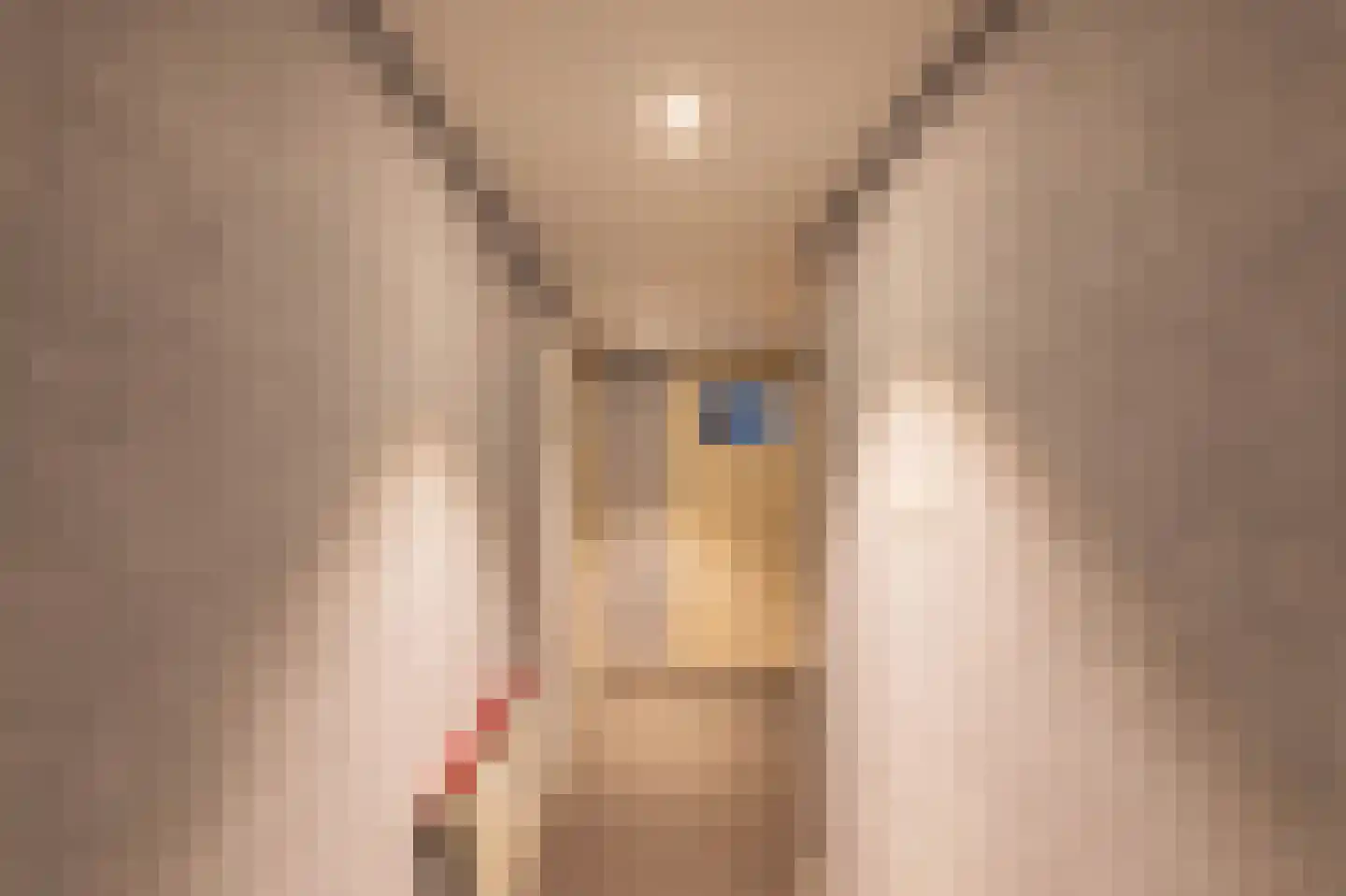 Middenstraat 24 Sappemeer thumbnail 33