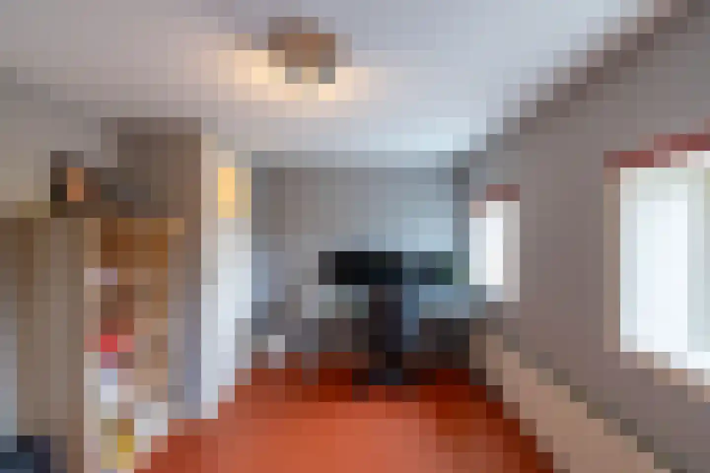 Middenstraat 24 Sappemeer thumbnail 34