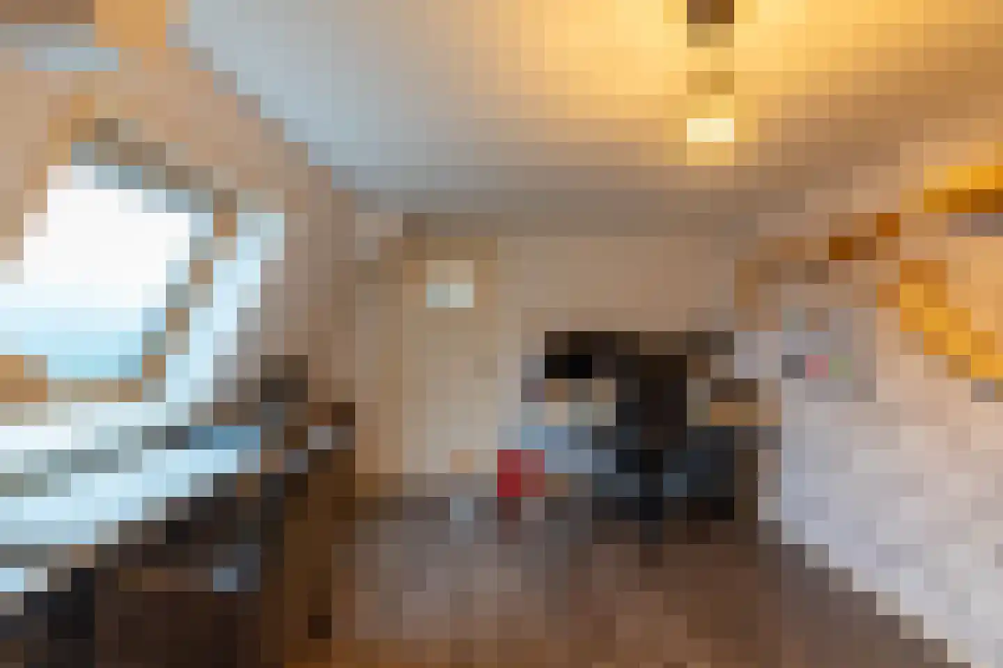 Middenstraat 24 Sappemeer thumbnail 42