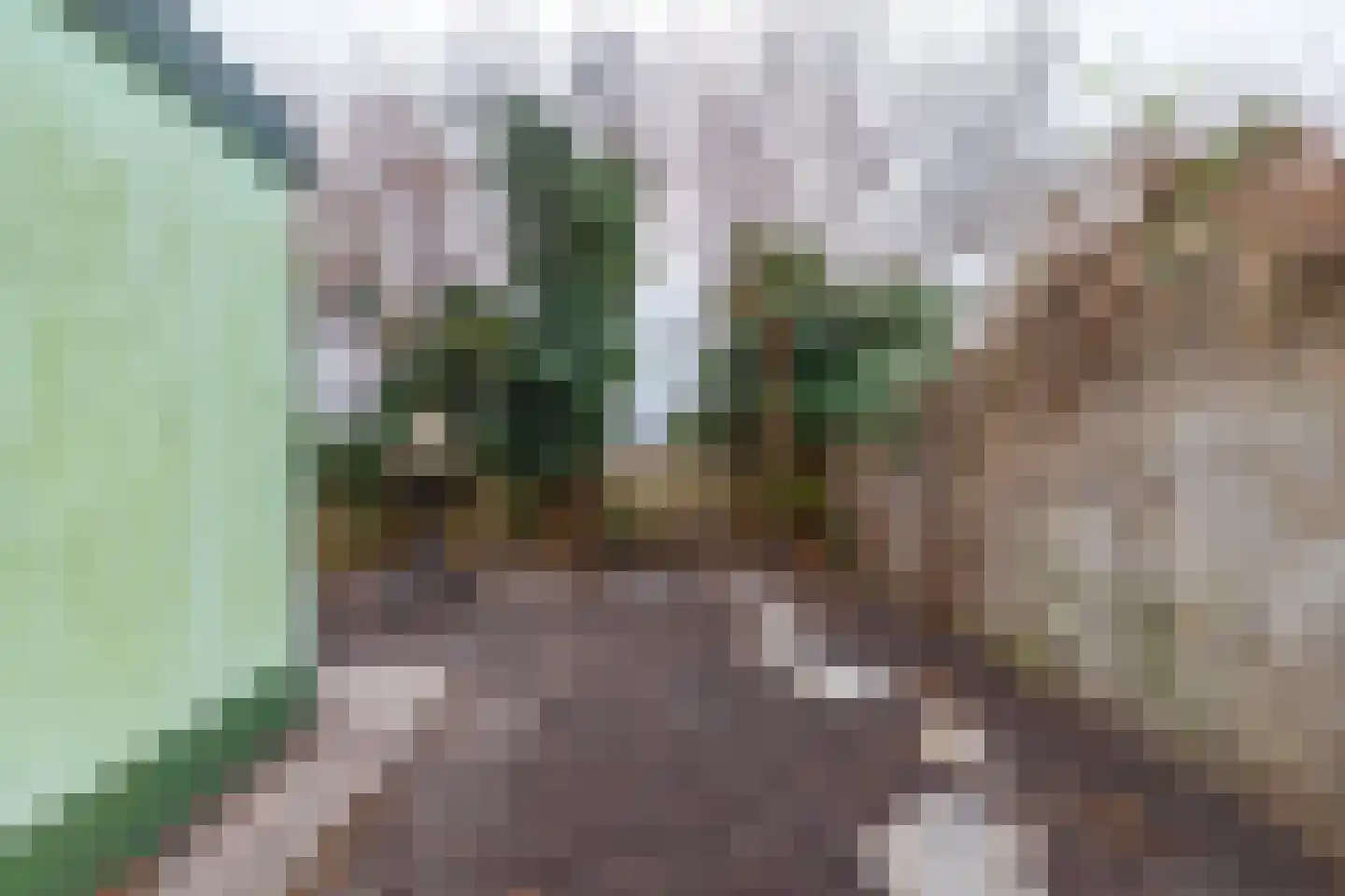 Middenstraat 24 Sappemeer thumbnail 45