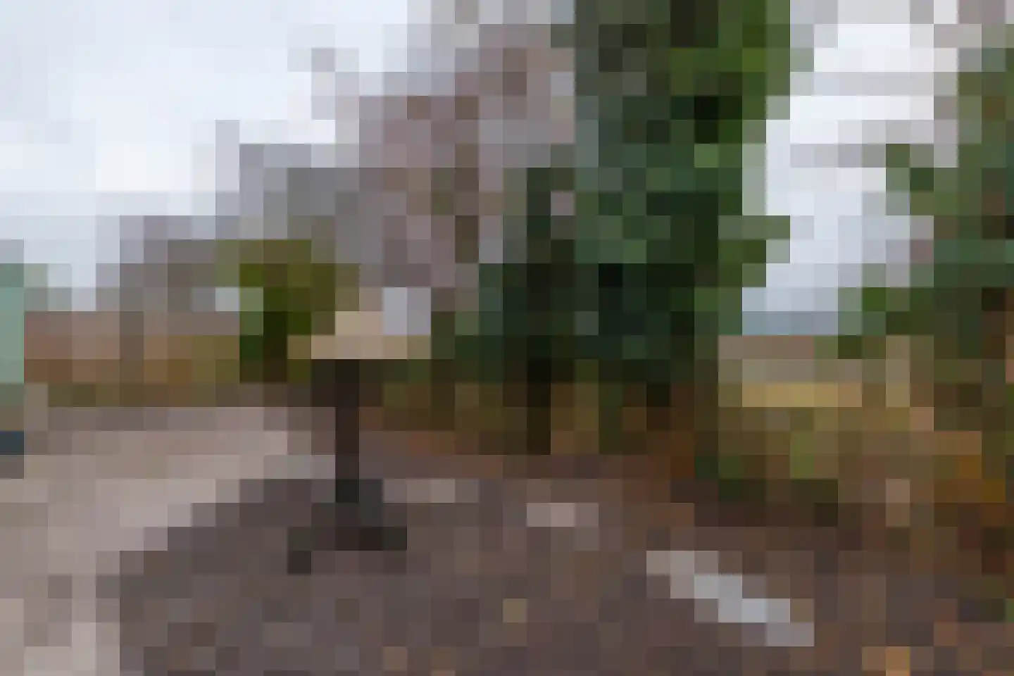 Middenstraat 24 Sappemeer thumbnail 46