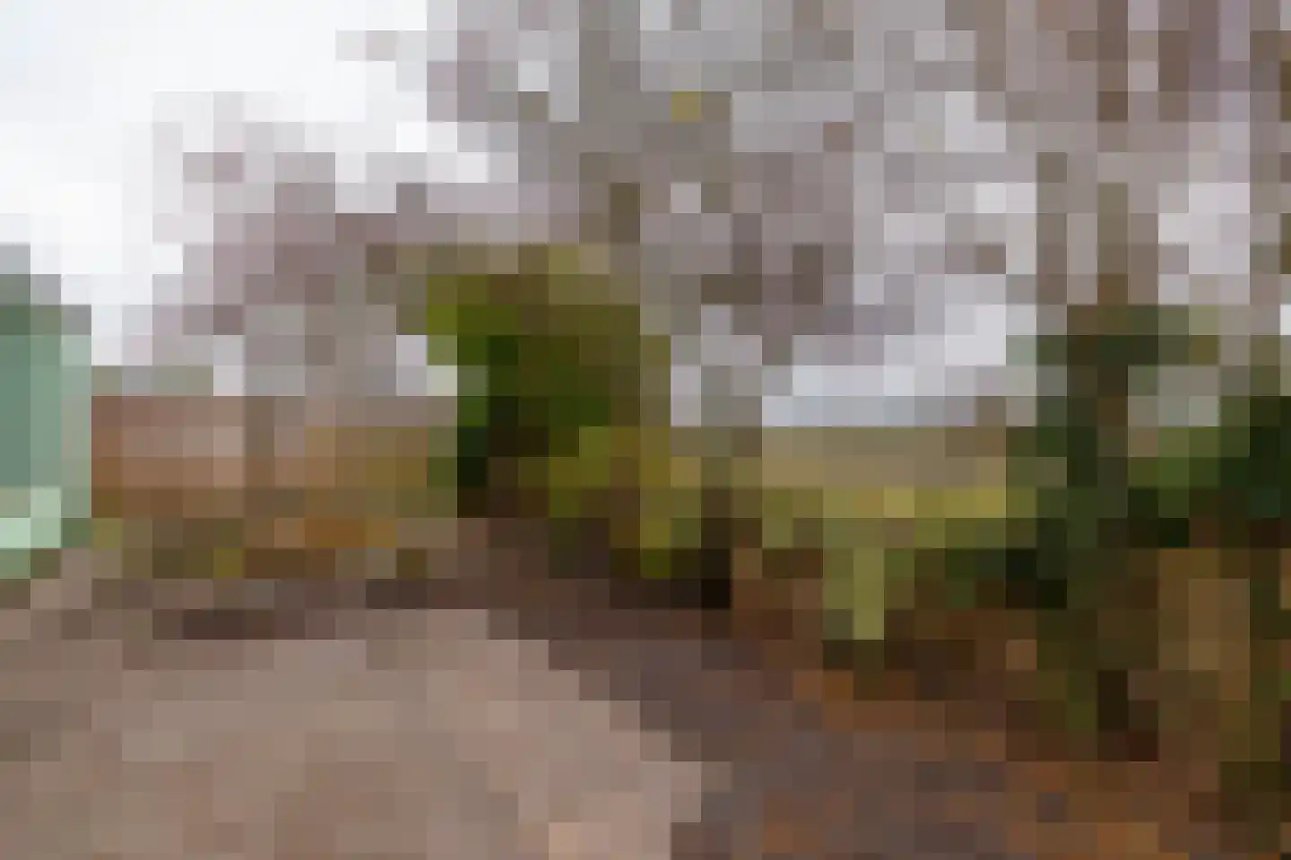 Middenstraat 24 Sappemeer thumbnail 48