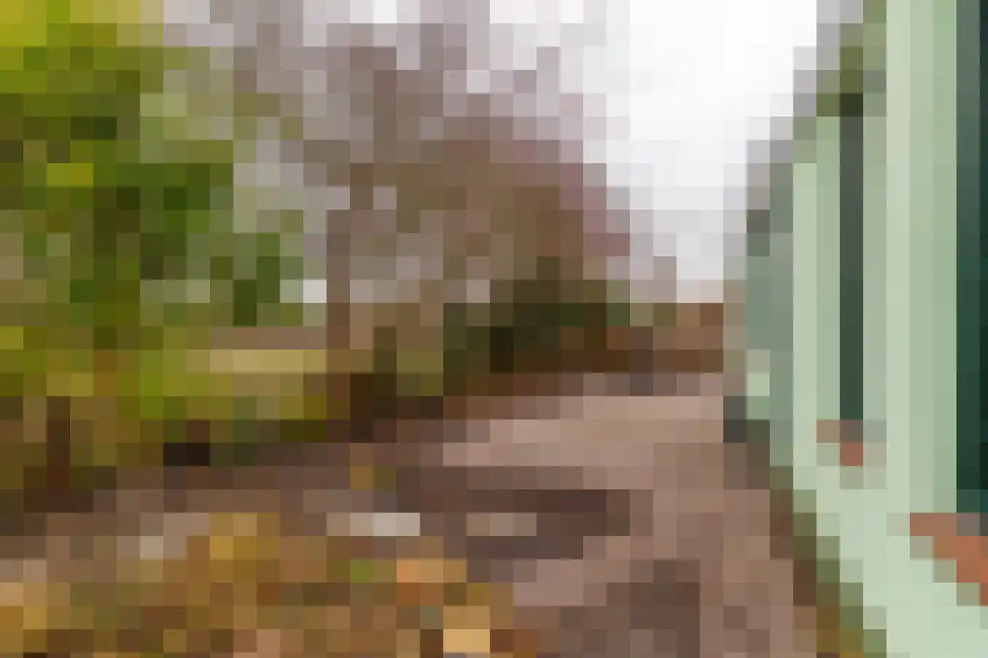 Middenstraat 24 Sappemeer thumbnail 49
