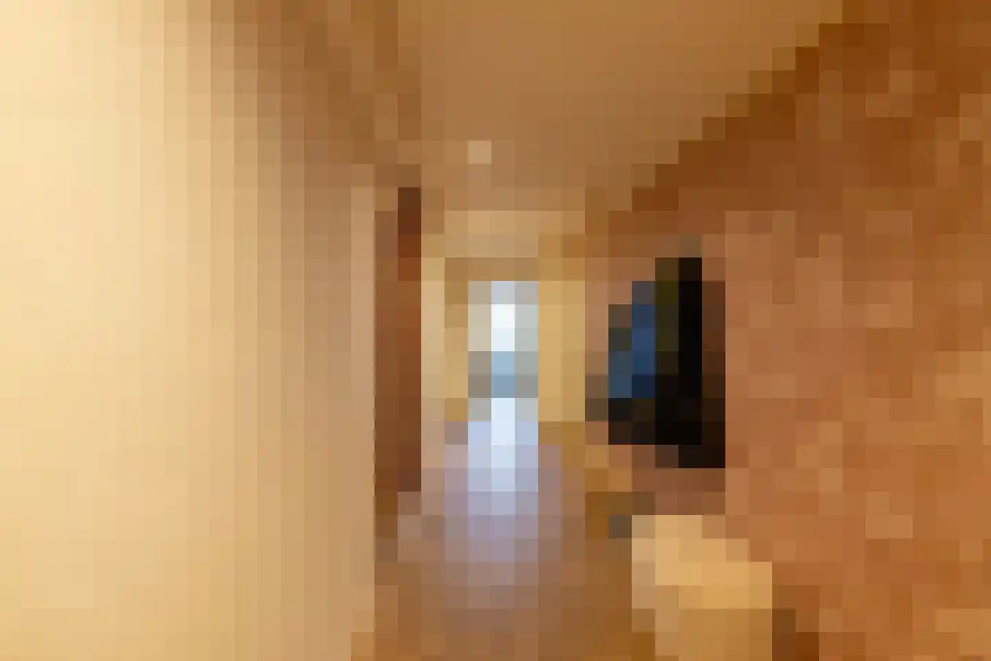 Middenstraat 24 Sappemeer thumbnail 7