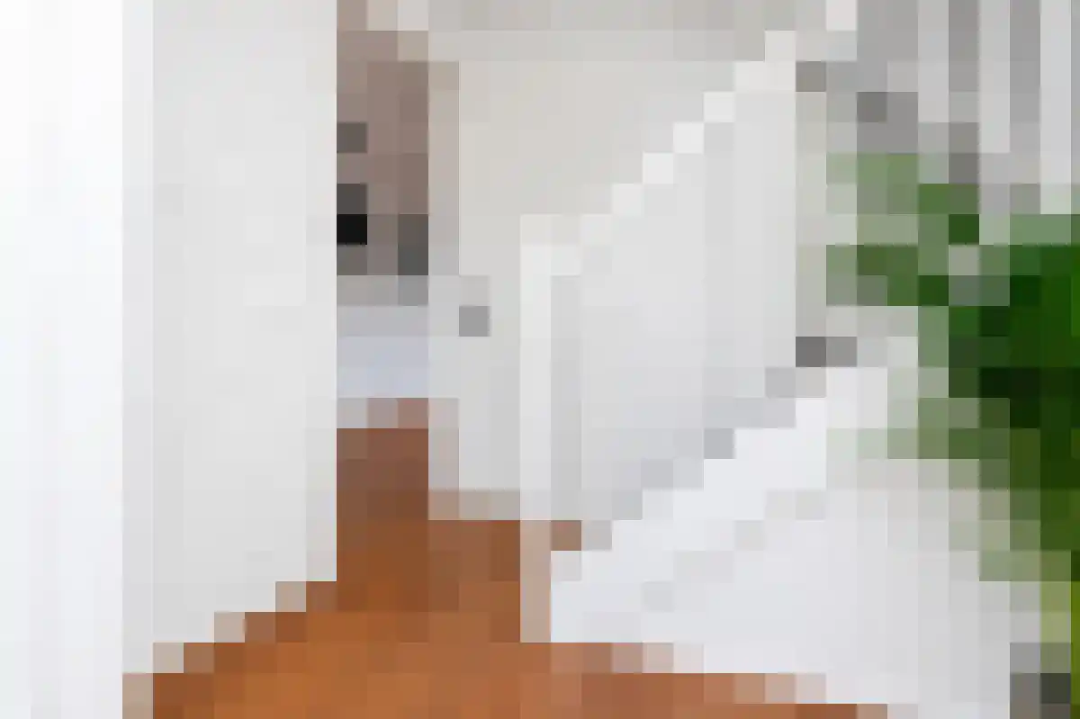 Middenstraat 3 Wissenkerke thumbnail 4