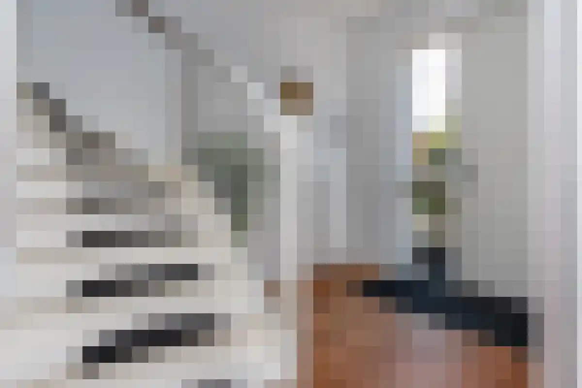Middenstraat 3 Wissenkerke thumbnail 5