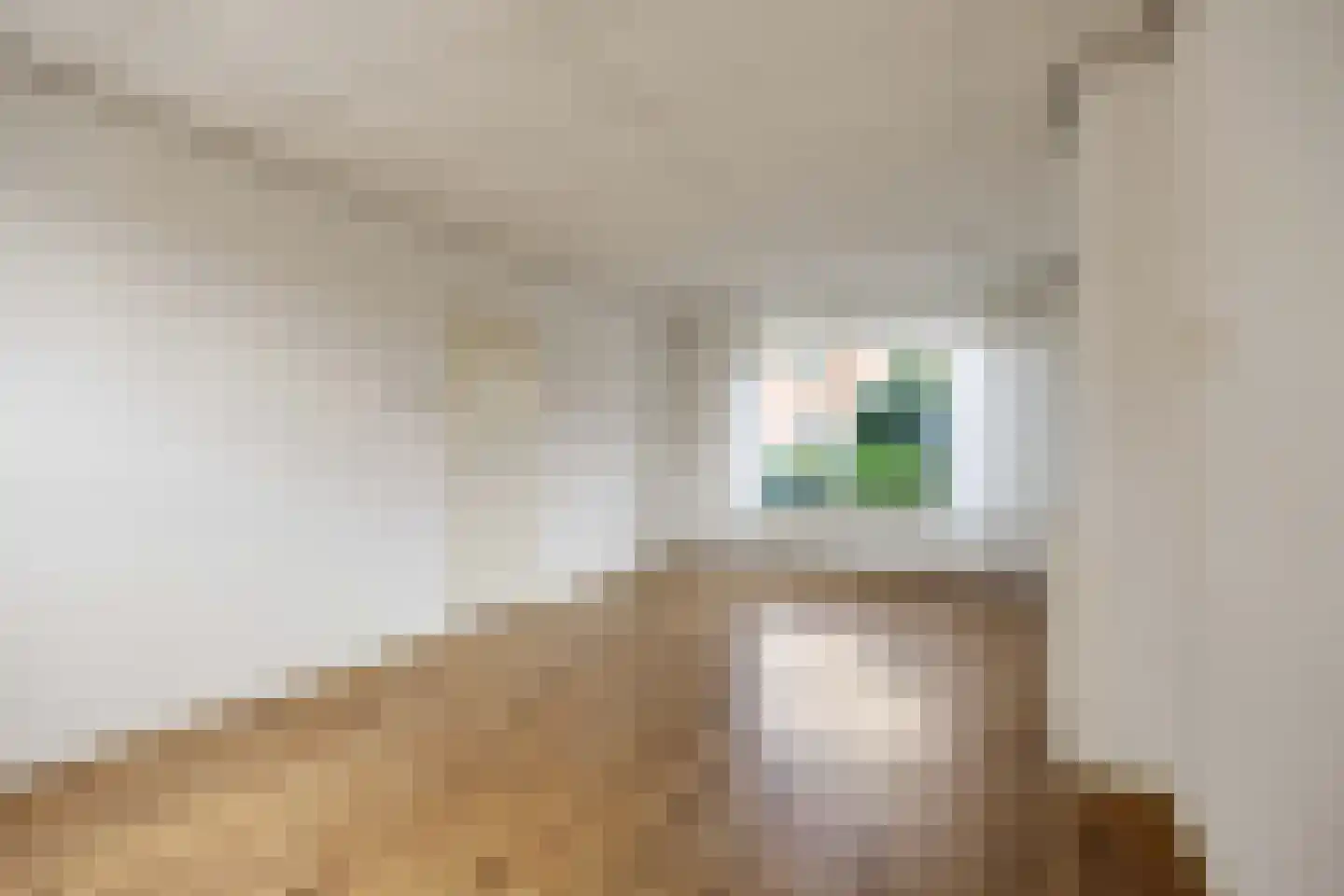 Middenstraat 31 De Wilp thumbnail 10
