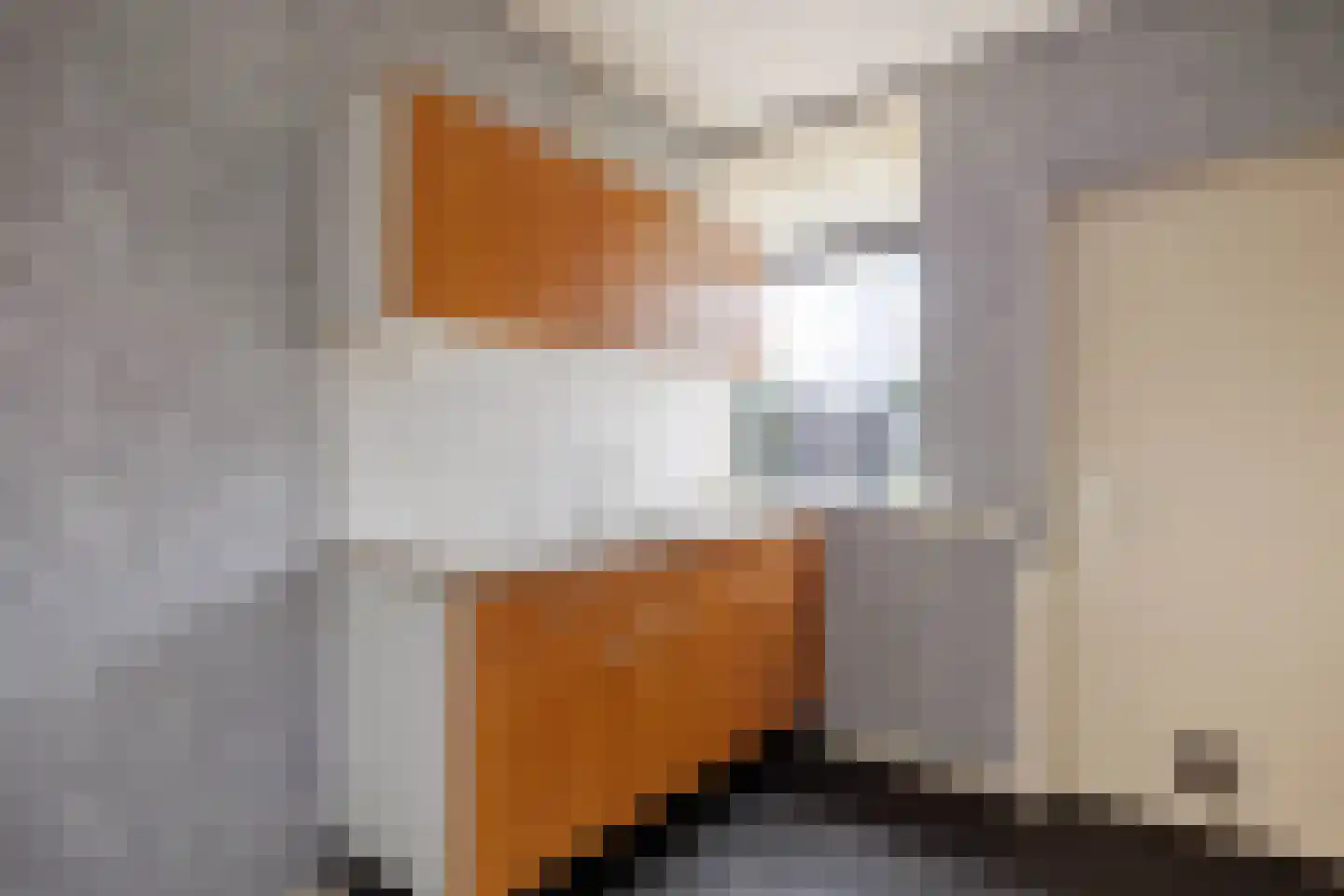 Middenstraat 31 De Wilp thumbnail 13
