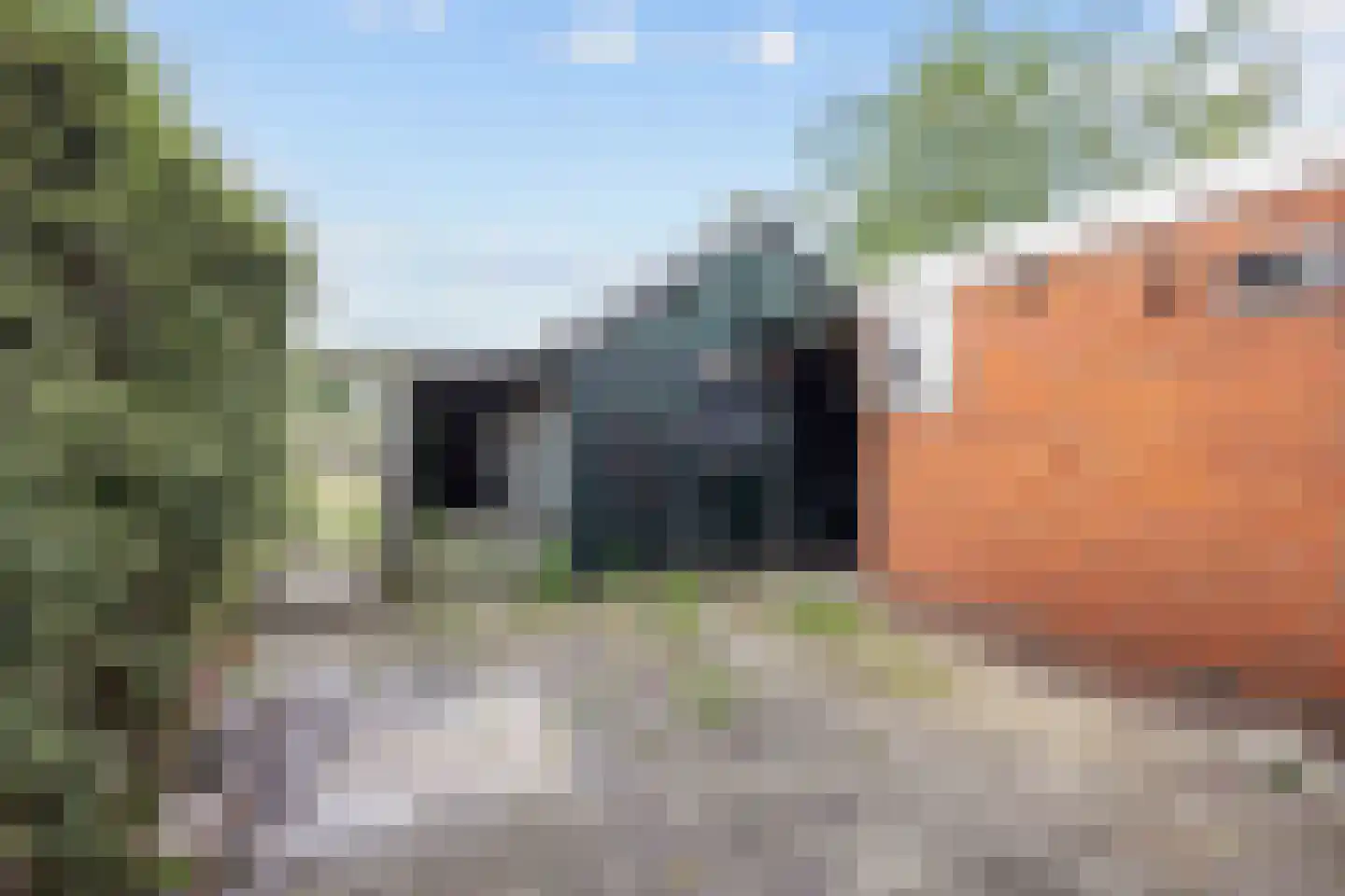 Middenstraat 31 De Wilp thumbnail 32