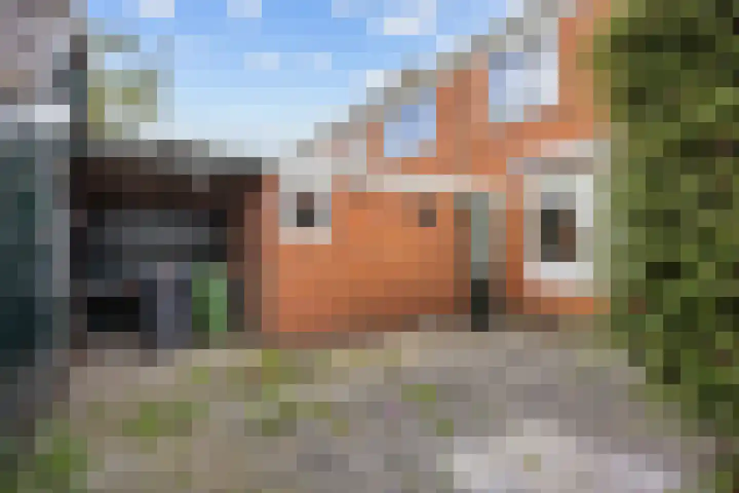 Middenstraat 31 De Wilp thumbnail 37