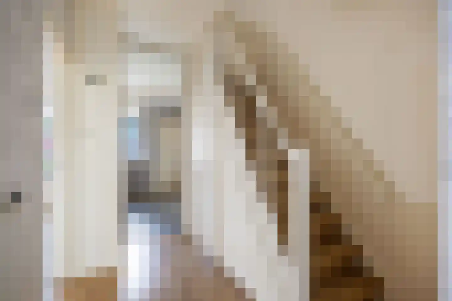 Middenstraat 31 De Wilp thumbnail 4