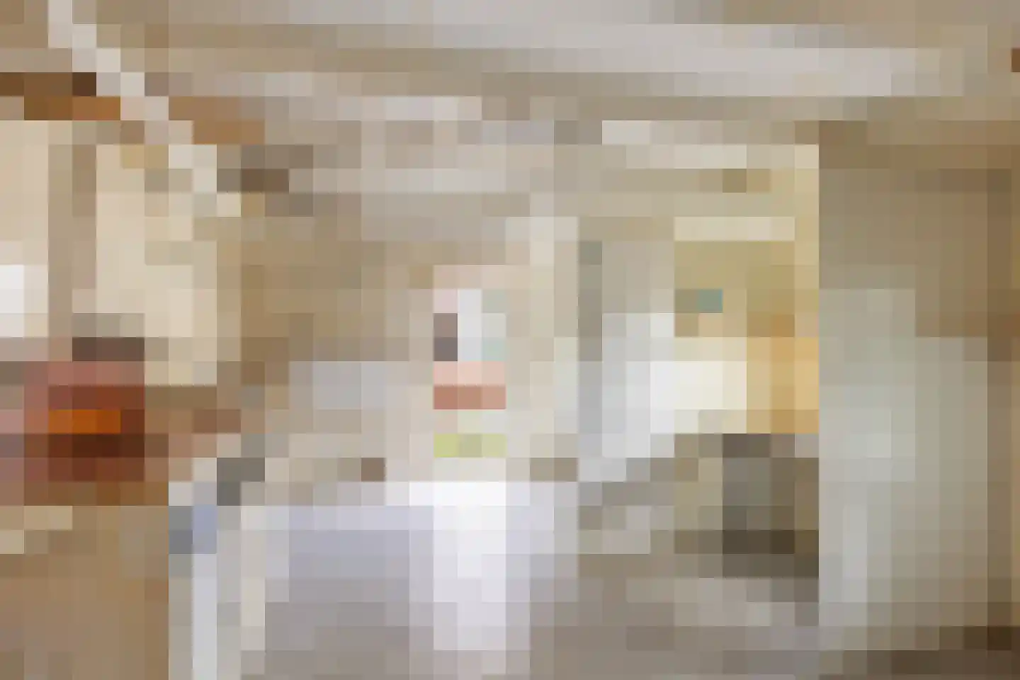 Middenstraat 31 De Wilp thumbnail 40