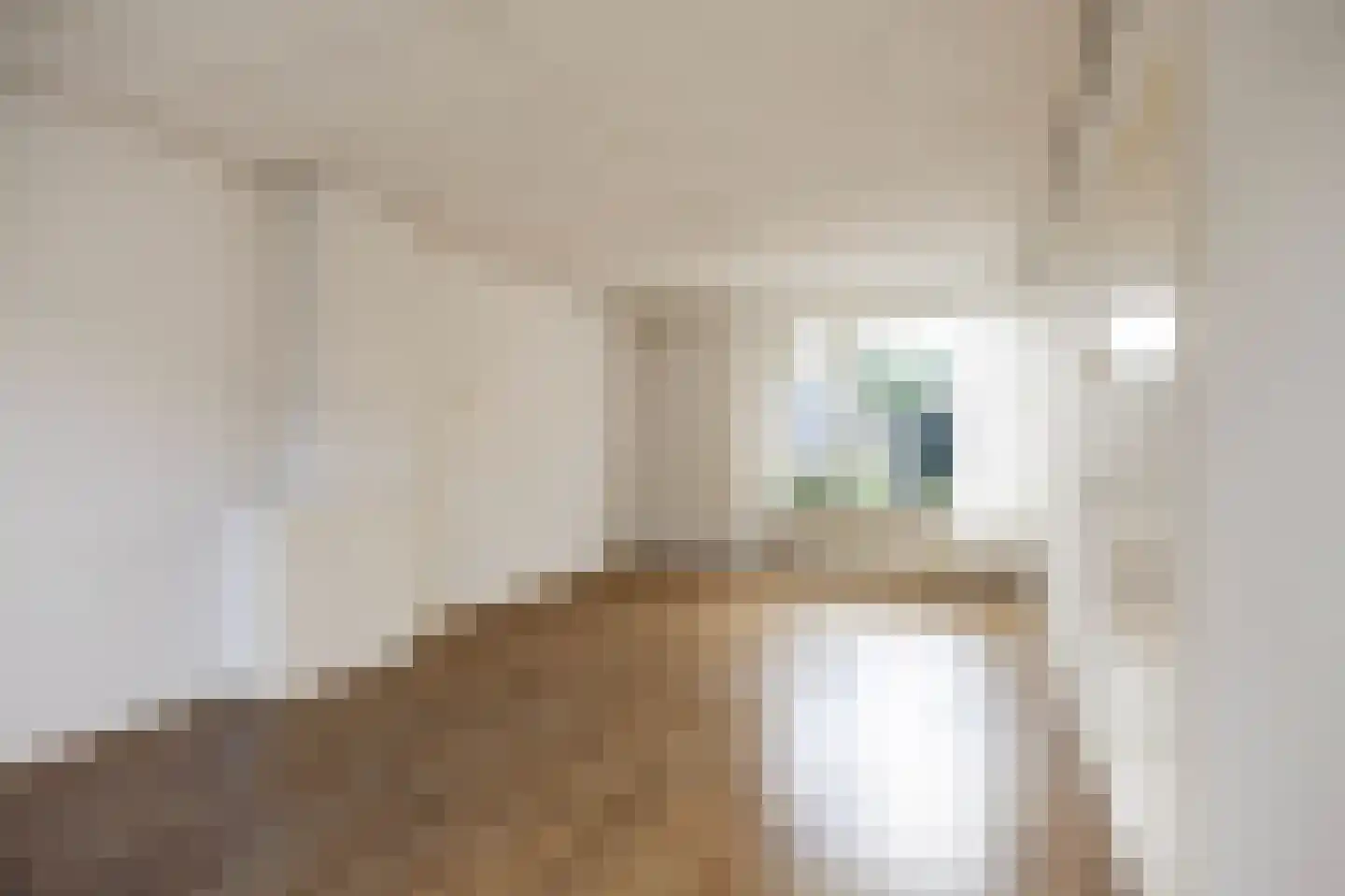 Middenstraat 31 De Wilp thumbnail 8