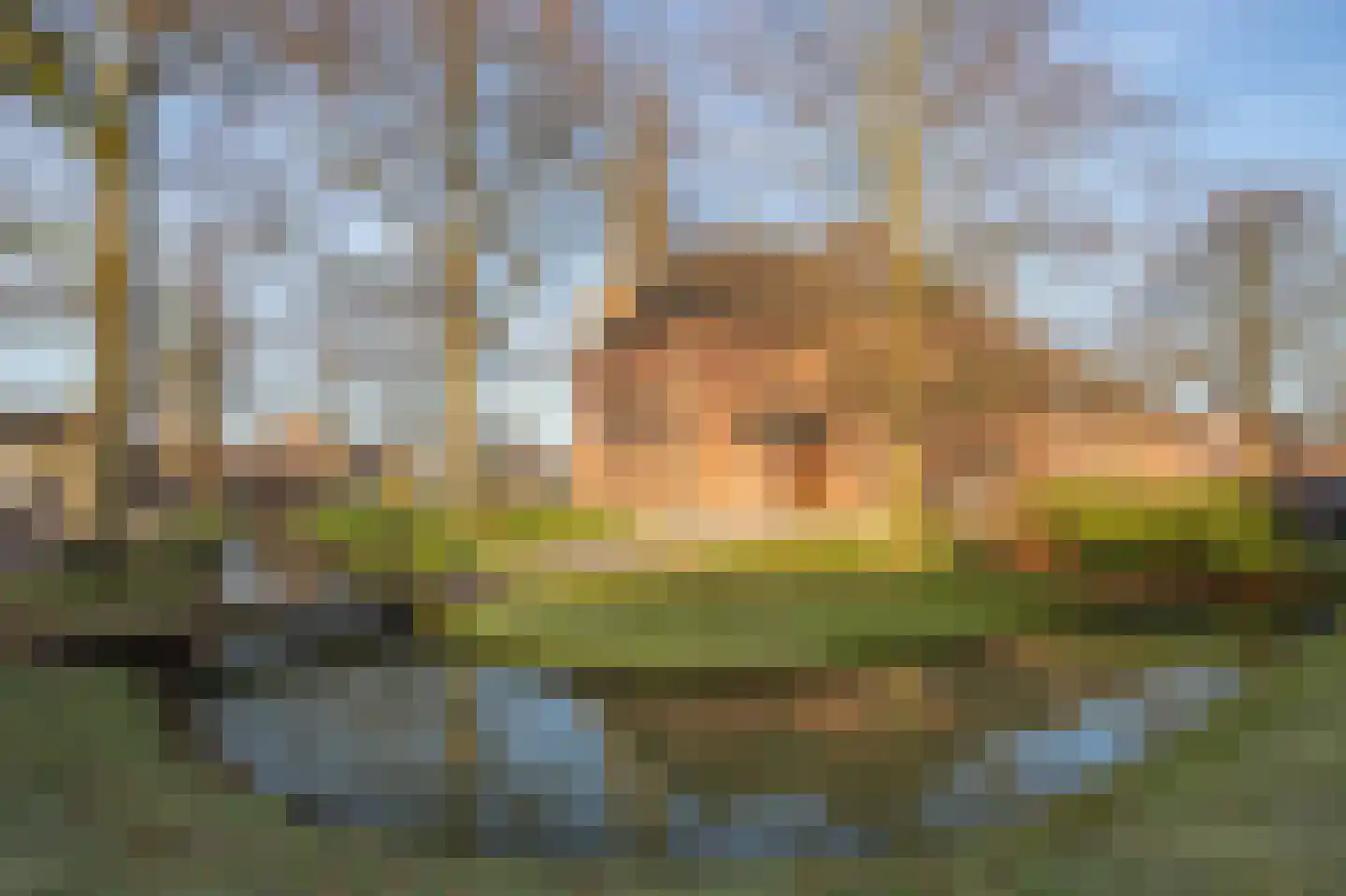 Middenstraat 36 Woudenberg thumbnail 30