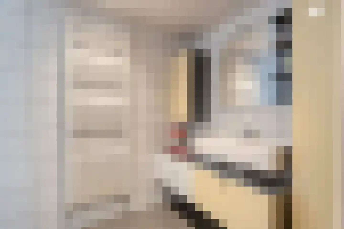 Middenstraat 4 Beilen thumbnail 26