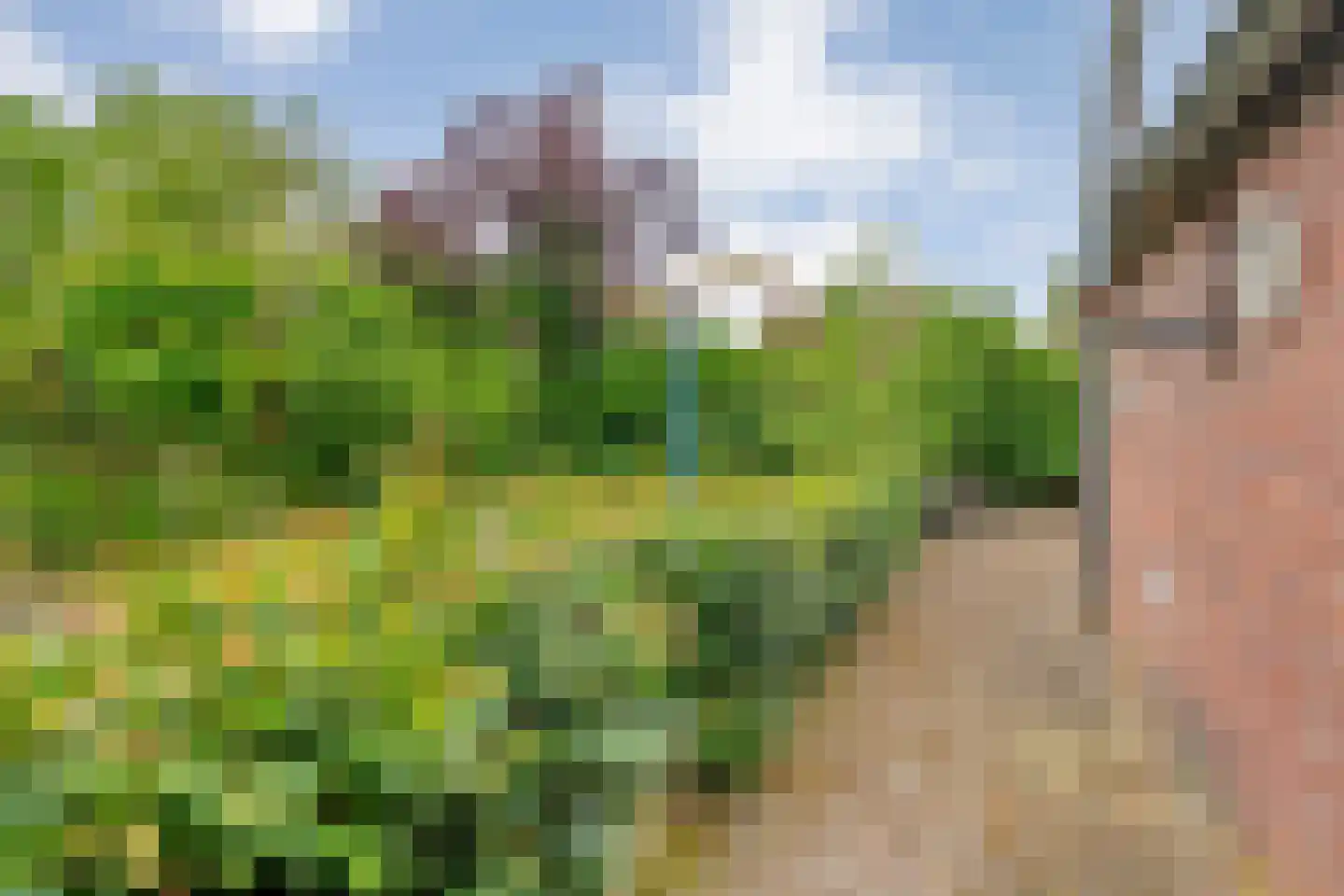 Middenstraat 4 Beilen thumbnail 34