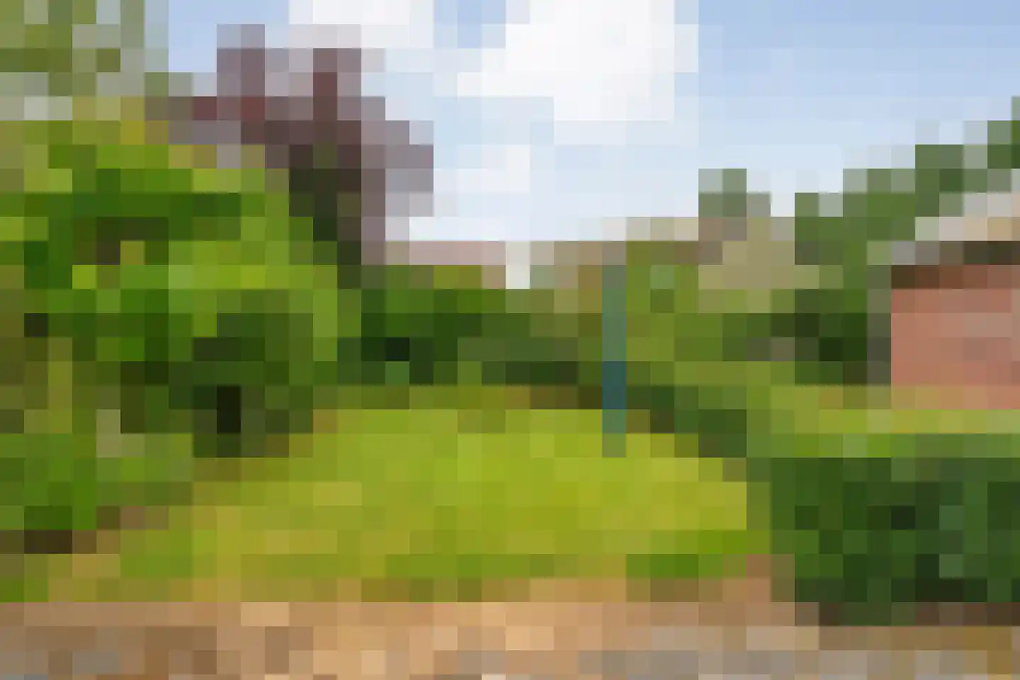 Middenstraat 4 Beilen thumbnail 39