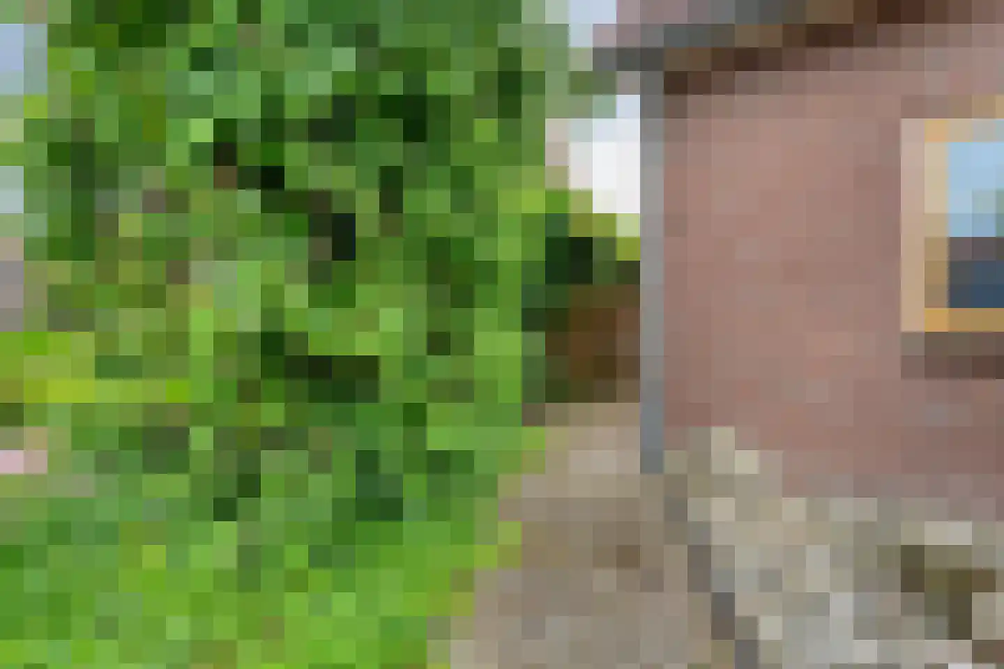 Middenstraat 4 Beilen thumbnail 47