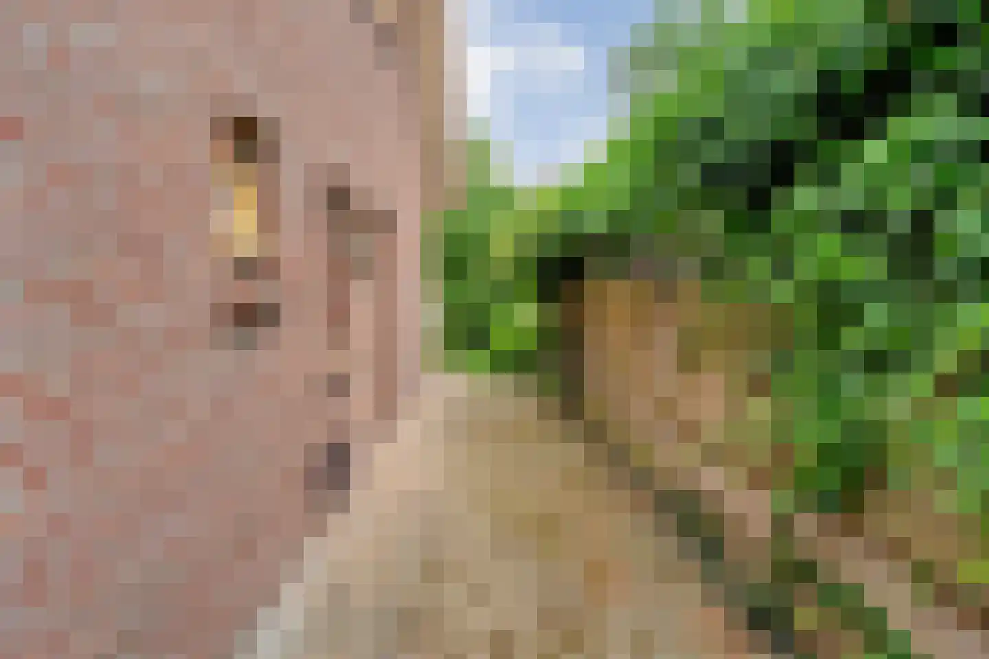 Middenstraat 4 Beilen thumbnail 48