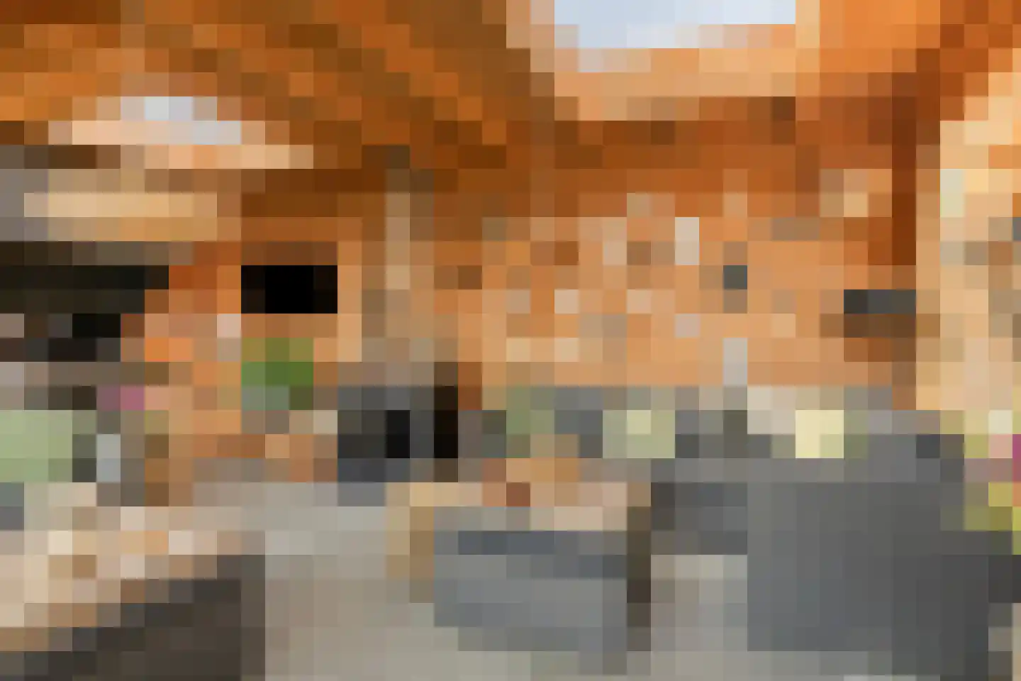Middenstraat 6 's-Gravenpolder thumbnail 42