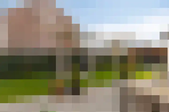 Middenstraat 6 's-Gravenpolder thumbnail 42