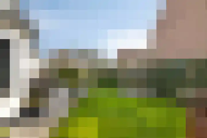 Middenstraat 6 's-Gravenpolder thumbnail 43