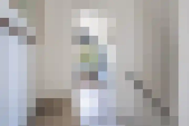 Middenstraat 6 Zeijen thumbnail 35
