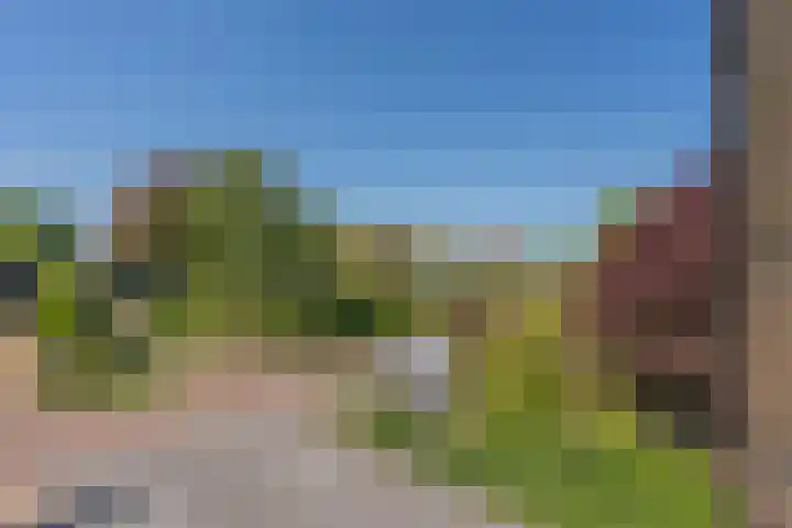 Middenstraat 6 Zeijen thumbnail 38