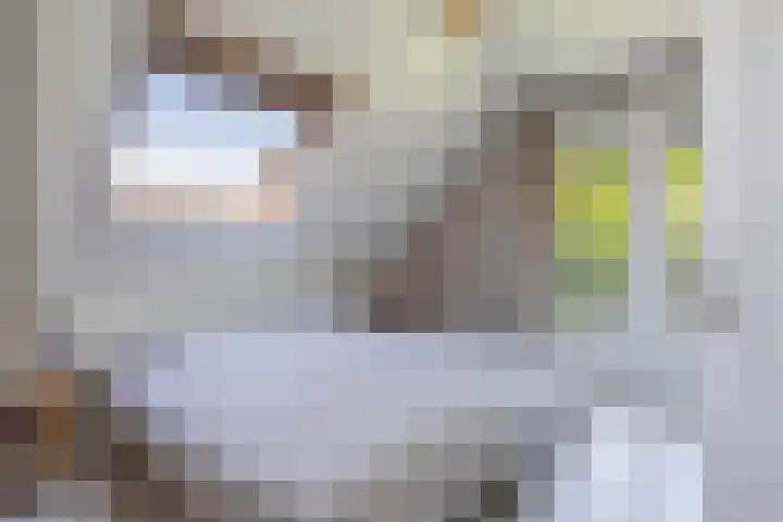 Middenstraat 6 Zeijen thumbnail 42