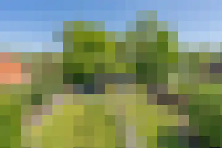 Middenstraat 6 Zeijen thumbnail 43
