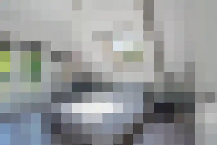 Middenstraat 6 Zeijen thumbnail 45