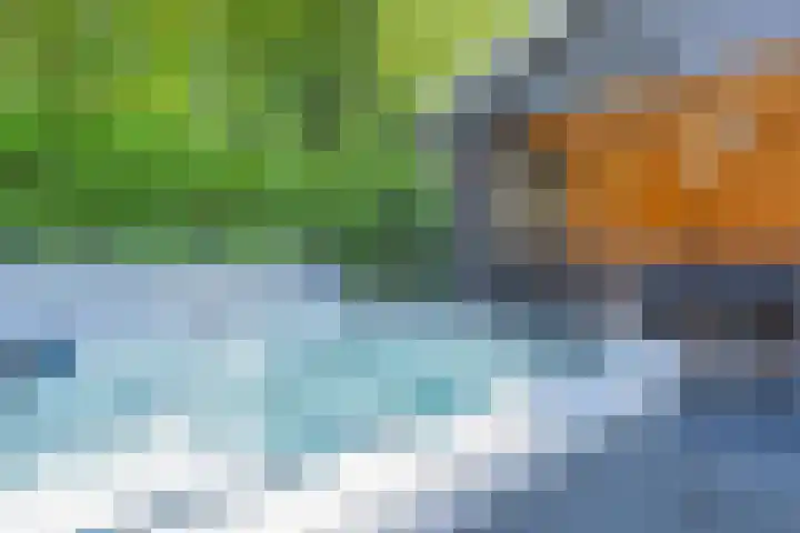 Middenstraat 6 Zeijen thumbnail 64