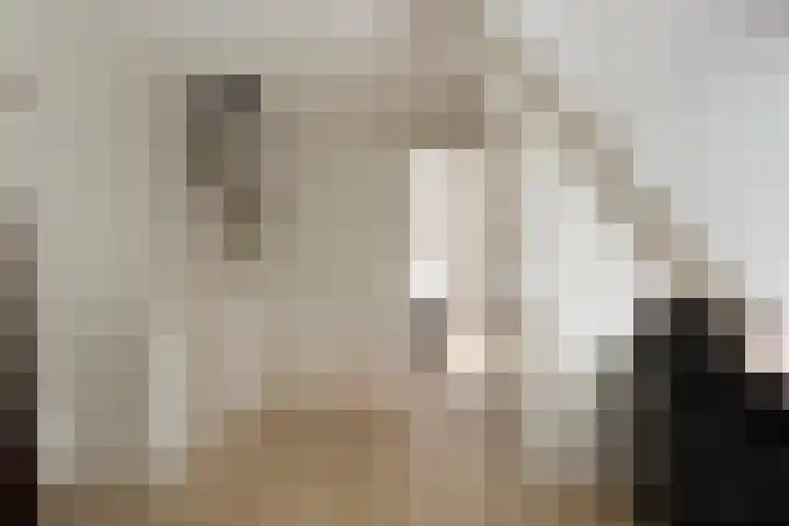 Middenstraat 6 Zuidlaren thumbnail 22