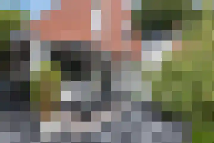 Middenstraat 6 Zuidlaren thumbnail 33