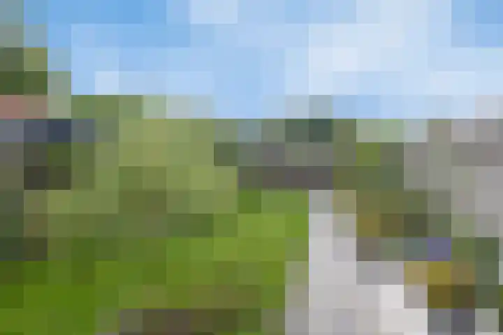 Middenstraat 6 Zuidlaren thumbnail 34
