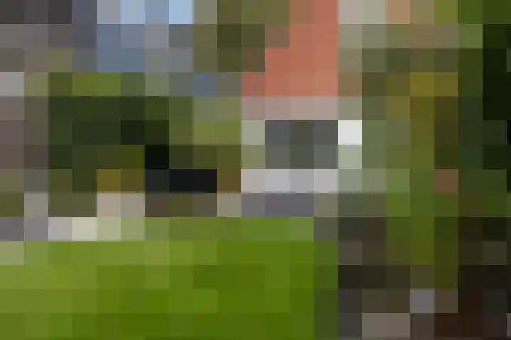 Middenstraat 6 Zuidlaren thumbnail 36