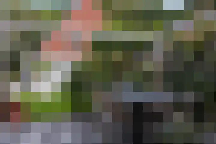 Middenstraat 6 Zuidlaren thumbnail 37
